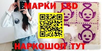 прущие грибы Будённовск
