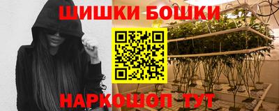 прущие грибы Будённовск