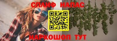 прущие грибы Будённовск