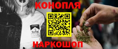 прущие грибы Будённовск