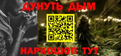 прущие грибы Будённовск