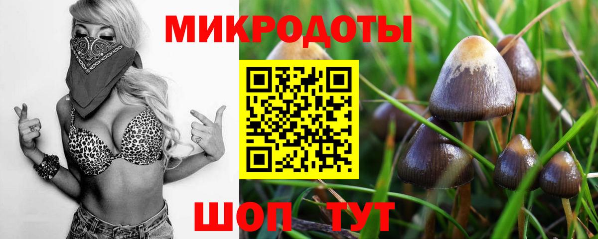 Щёкино  Галлюциногенные грибы ЛСД  Вход с VPN 